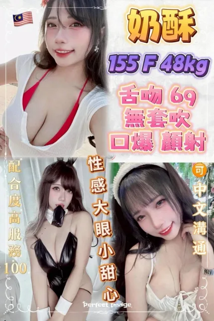 新北定點茶-奶酥