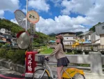 台北定點茶-糖小夏