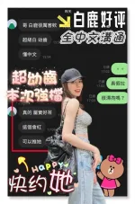 台南定點茶-白鹿