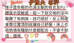嘉義定點茶-伊豫央