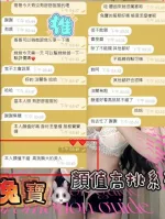 新竹定點茶-兔寶　