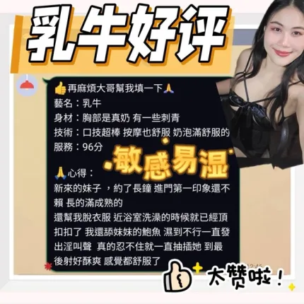 台南定點茶-乳牛