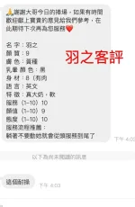 桃園定點茶-羽之