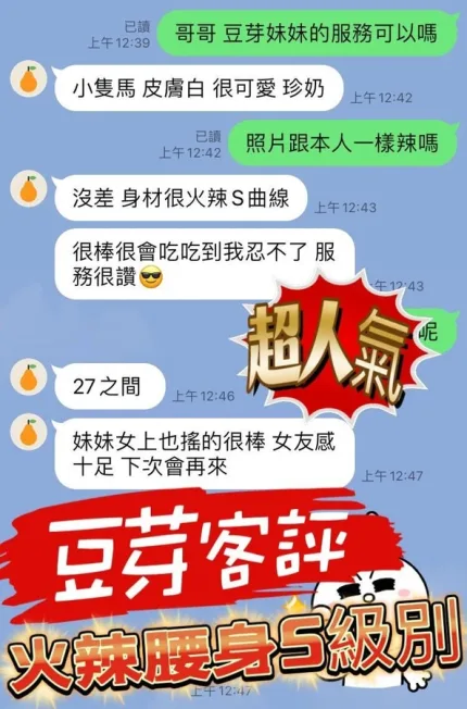 南投定點茶-豆芽