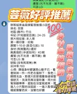 新竹定點茶-芸薇