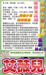 台中定點茶-艾薇兒