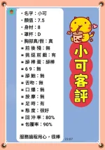 新北定點茶-小可