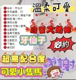 嘉義定點茶-牙仙子