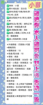 新北定點茶-小苗
