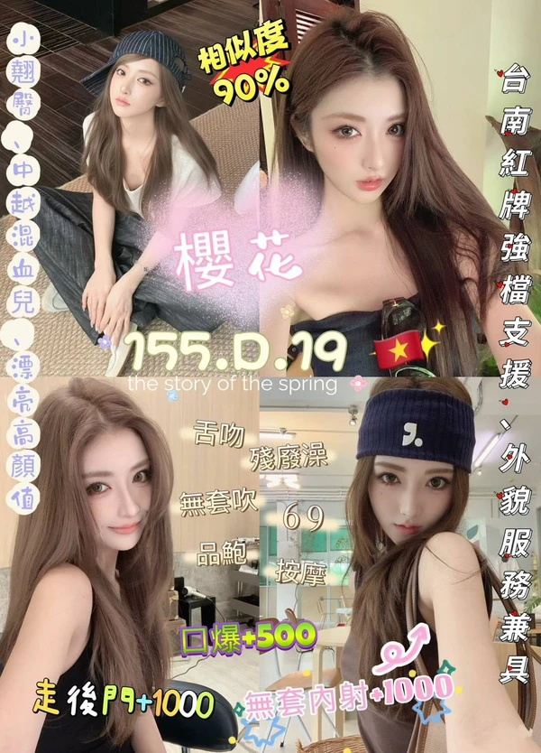 台北定點茶-櫻花 台北定點茶-櫻花